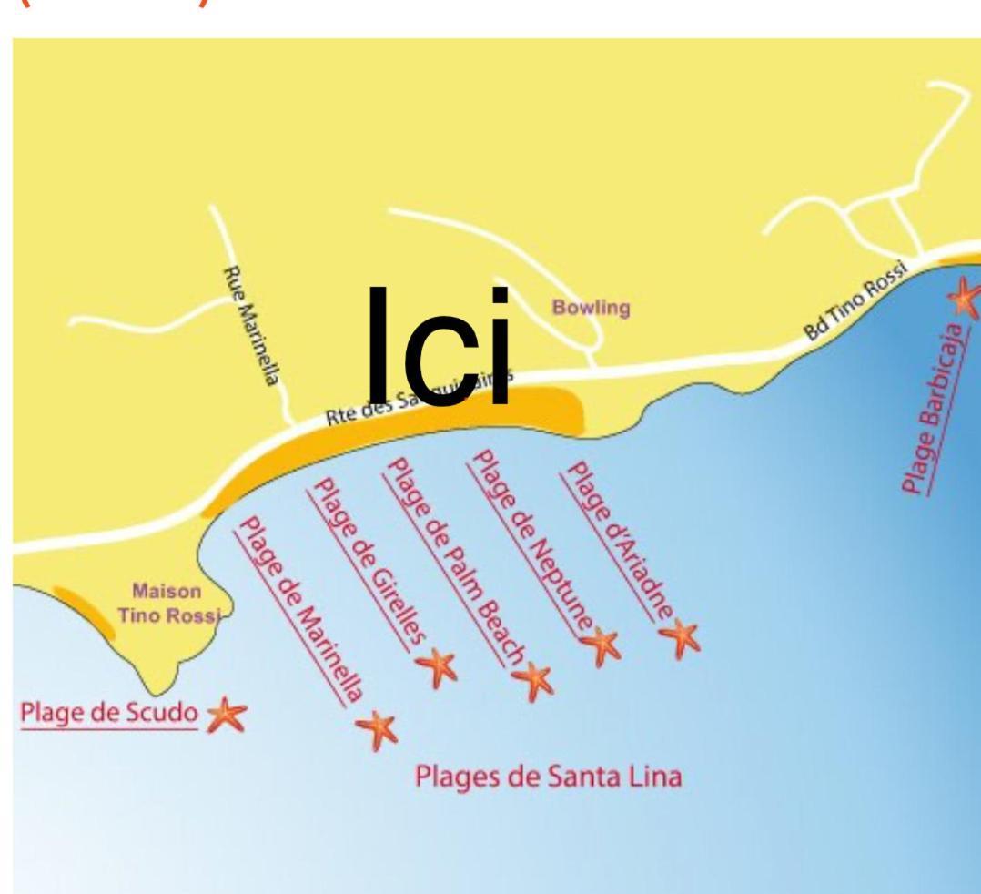 Superbe Pieds Dans L Eau Ajaccio Face A La Mer Plage De Sable Fin Route Des Iles Des Sanguinaires 外观 照片